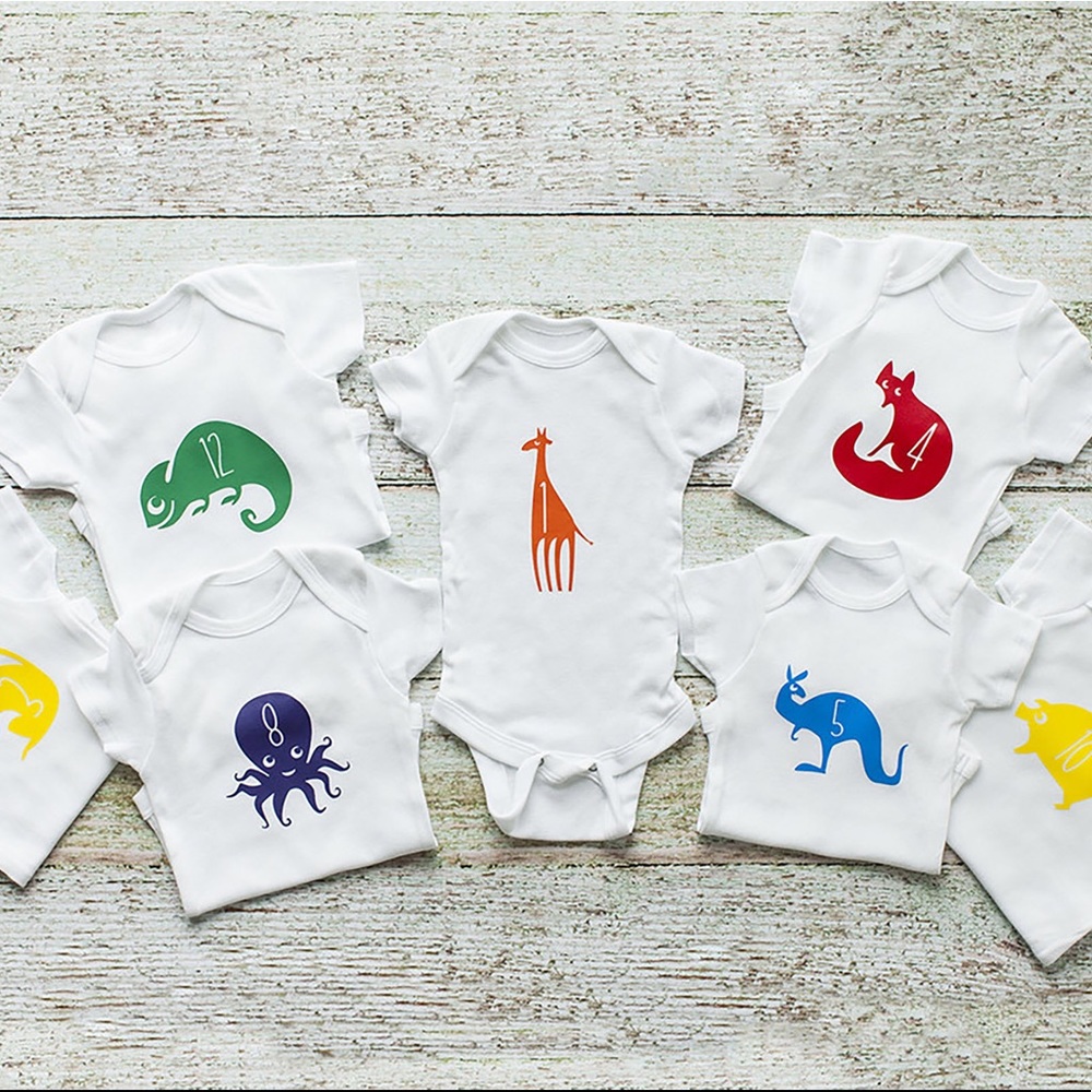 Monthly Onesies for Monthly Photos